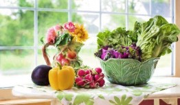 少女吃瓜图盆栽,趣味盎然的植物艺术新风尚