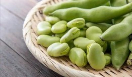 吃完蚕豆可以吃瓜,营养美味两不误