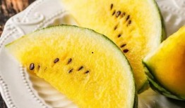 门诊吃瓜,揭秘医院里的趣味瞬间