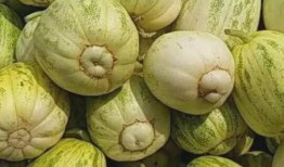 吃瓜推荐内容,跟随潮流，畅享娱乐盛宴