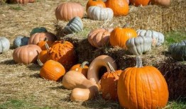 接续吃瓜,揭秘娱乐圈最新热点事件