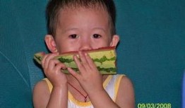 吃楠瓜的好处,营养丰富的健康佳品，益处多多的天然美食