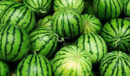 发烧吃冰瓜,冰瓜助力清凉一夏