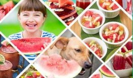 史上最强吃瓜图片,揭秘网络热议背后的惊人真相