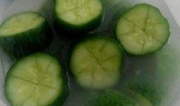 燕子吃芥末瓜,舌尖上的趣味探索