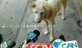 卧槽吃瓜视频下载,揭秘热门事件背后的真相