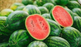 梦到吃瓜吃豆子,瓜豆盛宴，揭秘潜意识中的味蕾之旅