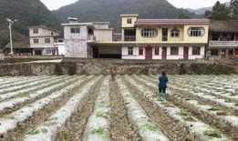 黑白配吃瓜,揭秘娱乐圈的甜蜜与苦涩