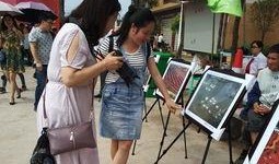 永州吃瓜群众事件,网络舆论的风暴与反思