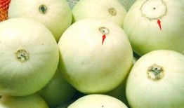 吃甜瓜怎么挑瓜,教你轻松挑出美味佳品