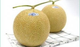 脾虚宝宝可以吃哈密瓜吗,脾虚宝宝适宜食用哈密瓜吗？营养解析与食用建议