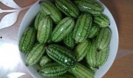 吃高档瓜,探寻高档瓜果的尊贵之旅