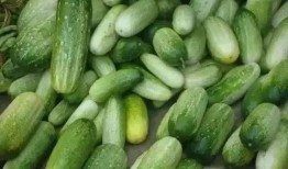 云南大姨吃瓜,一场别开生面的乡村食趣之旅