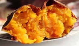 吃个地瓜吧吃地瓜挖瓜吃,从吃个地瓜吧到挖瓜吃，一场味蕾的奇妙之旅