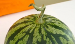 看瓜和吃瓜的古诗句,看瓜与吃瓜的诗意时光