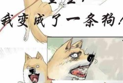 吃瓜要主动小说