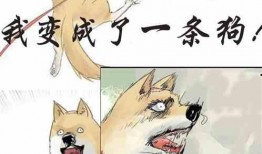 吃瓜要主动小说