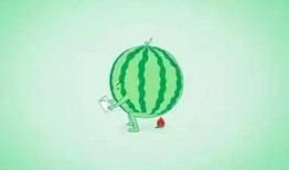 吃麻子瓜会长胖吗,吃麻子瓜真的会长胖吗？