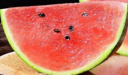 吃瓜三圣,探寻瓜界传奇背后的故事