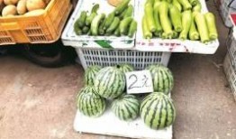 自由吃瓜 小组,揭秘网络社交圈的轻松娱乐之道