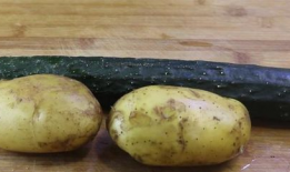 吃瓜还是吃土豆01,一场美食与生活的抉择