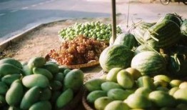 中国吃瓜群众论坛,揭秘网络热议背后的真相与趣味