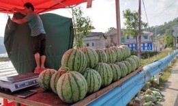 保定大观吃瓜事件,一场网络热议的社区冲突揭秘