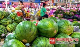 广西吃瓜行健,探寻地方美食与健康生活的完美融合