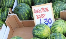 外国吃瓜网站有哪些