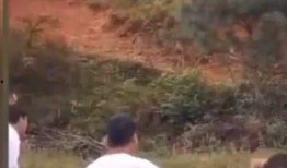 吃瓜伴郎新娘瓜,笑料百出！