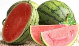 在最右怎么吃瓜,揭秘热门吃瓜指南，轻松解锁热门话题！