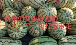 吃大瓜爆料,吃大瓜爆料背后的真相与内幕