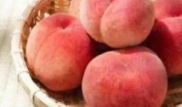 桃桃吃瓜了,揭秘娱乐圈最新热点事件