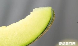 免费吃瓜链接2022,盘点那些让人捧腹大笑的瓜料