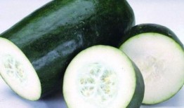 冬天吃夏天瓜,夏果飘香——探寻冬季吃夏瓜的奇妙体验