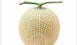 蒙阴吃瓜群众是谁,网络红人的崛起与影响力