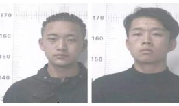 直接拘留吃瓜群众,揭秘网络围观背后的法律边界