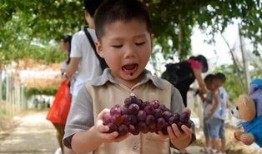 校园吃瓜的群,揭秘校园生活那些事儿