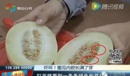 随机吃瓜25,揭秘娱乐圈背后的秘密与真相
