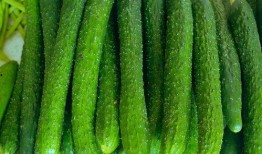 网纹瓜可以炒菜吃吗,美味炒菜新选择