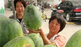 孝感小区吃瓜,邻里吃瓜，共享欢乐时光