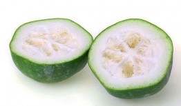 尿酸高可以吃吊瓜,吊瓜助力健康生活