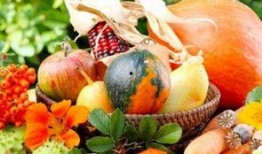 搜索周公解梦_梦到吃瓜,梦到吃瓜的吉凶预兆