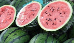 吃完邹城的瓜吃北湖的瓜,北湖瓜果飘香之旅