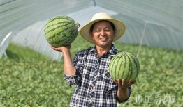 吃瓜大会来了,揭秘娱乐圈幕后风云