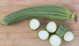 棒棒瓜咋吃,探索美味新境界