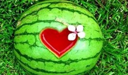 梦见在西瓜地吃瓜,西瓜地里的甜蜜诱惑