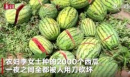 吃瓜烂瓜视频在线观看,在线观看热门视频背后的故事