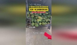 吃瓜骑车掉坑,意外事件引发网友热议