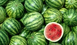 炸姐吃瓜社中的每日大瓜